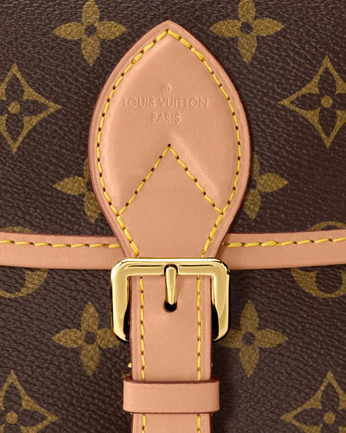 Louis Vuitton DIANE handbag classic design6