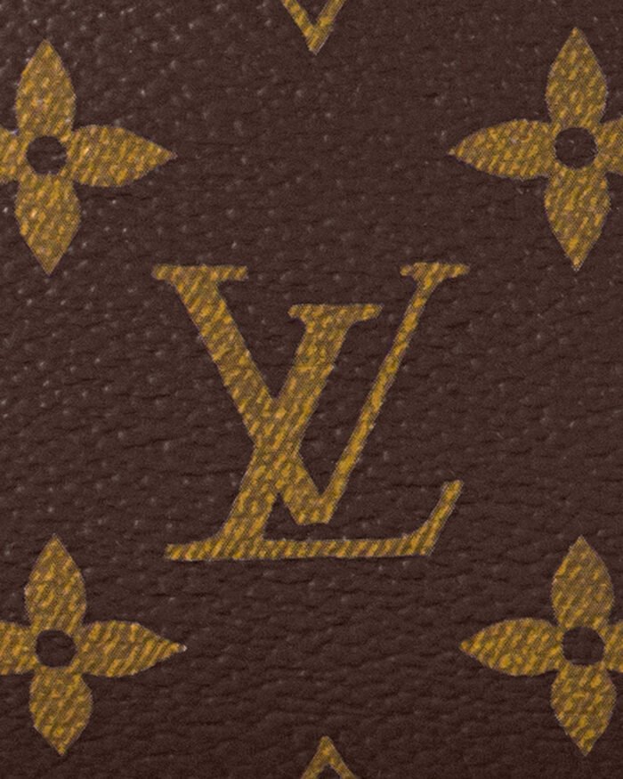 Louis Vuitton Monogram Coated Canvas Small Handbag7