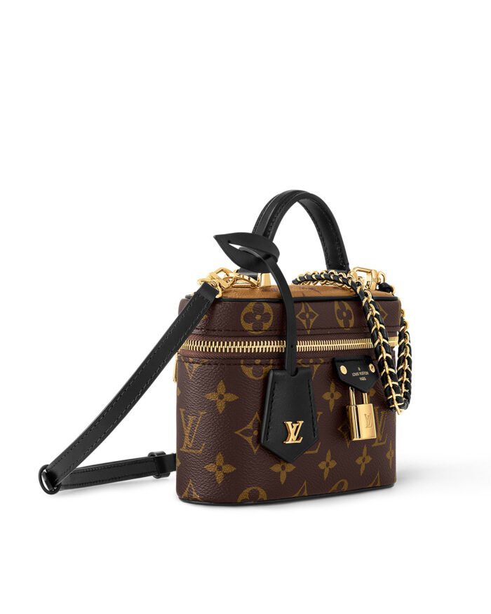 Louis Vuitton Vanity Chain Pouch handbag3
