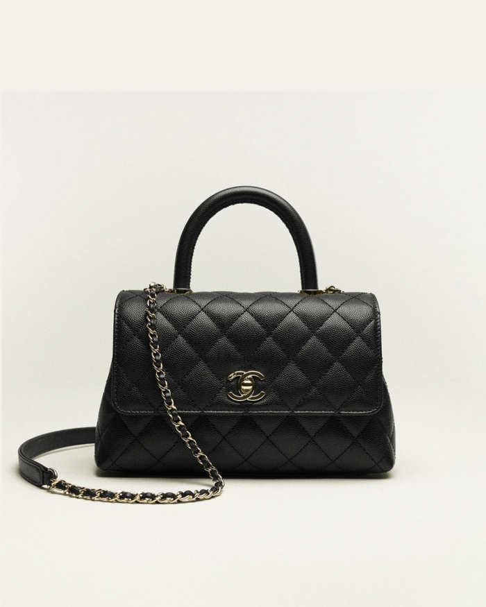 Grained Calfskin Gold Tone Metal1