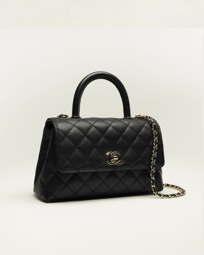 Grained Calfskin Gold Tone Metal3
